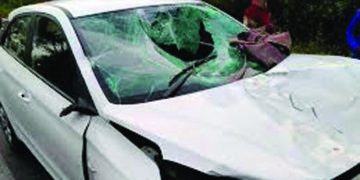 Morning walk claims lives of 3 senior citizens in Panchmahals