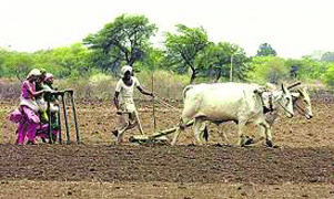 Gujarat’s Dalits & tribals are getting back land they have so far owned only on paper