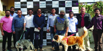 Ahmedabad to host Bow-Wow Dog show on Dec 22