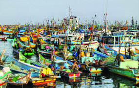 TN gets Rs 450 cr loan from Centre for building 3 fishing harbours