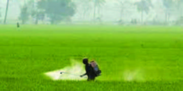 UPL gets conditional green nod for Rs 353-cr pesticide unit expansion