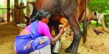 Veterinarians asked to develop efficient animal-origin product processing tech