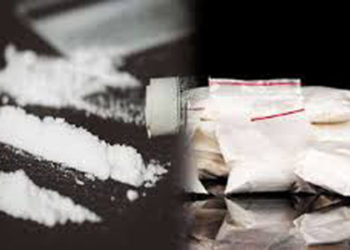 NCB seizes narcotics worth Rs. 1,300 crore, nine held in Delhi