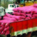 To pay back vehicle loan, driver of onion-laden truck to Chennai plots theft