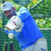 Dhoni begins training with Jharkhand Ranji squad