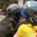 Viral video of dog riding as pillion with helmet in TN went viral on social media