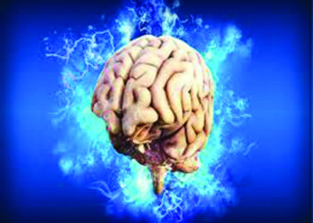 How brain balances pleasure, pain decoded