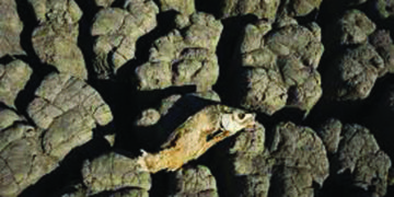 Why Paris climate goals may be out of reach