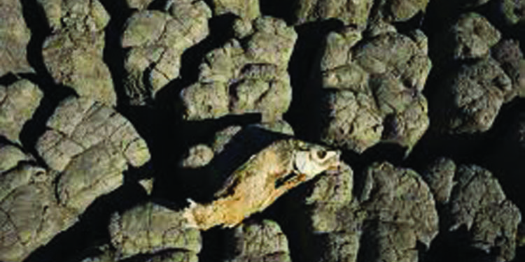 Why Paris climate goals may be out of reach