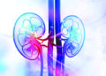 New drug technique injects genes into kidneys