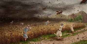 Locust-hit farmers to get Rs 31.5-cr relief from Gujarat Government
