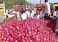 Wipe out tears: Onion prices may fall below Rs. 40 during Pongal, say traders