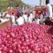 Wipe out tears: Onion prices may fall below Rs. 40 during Pongal, say traders