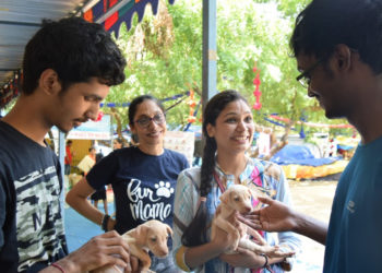 Pet adoption mela organised on January 11, 12 in Chennai