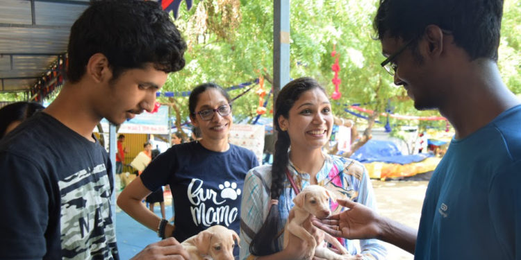 Pet adoption mela organised on January 11, 12 in Chennai