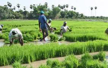 Budget 2020-2021: 16-point action plan to double farmers’ income by 2022