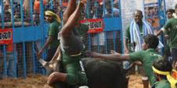 Two dead, 17 injured in jallikattu events in Tamil Nadu