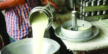 Tackling milk crisis: Puducherry seeks TN’s help