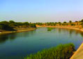 Couple jumps to death along with their son into Narmada River canal in Gujarat