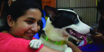 Pet adoption drive at Kalakshetra on February 22, 23