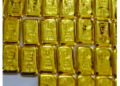 ICG and DRI seize 15 kg gold in a joint anti-smuggling operation