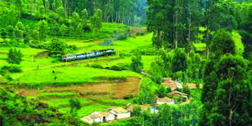 Coronavirus scar: Hill stations under lockdown; tourists asked to leave Ooty within 24 hours