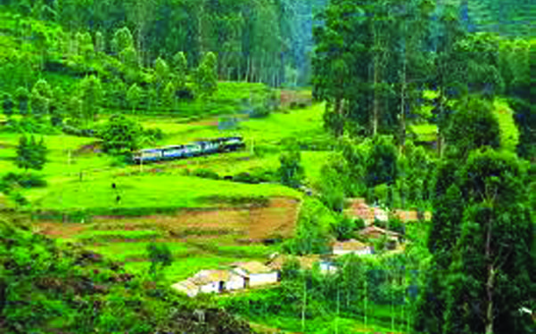 Coronavirus scar: Hill stations under lockdown; tourists asked to leave Ooty within 24 hours