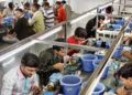 Gems, jewellery sector loosens its purse strings, announces Rs 50-cr welfare fund for its daily wage workers