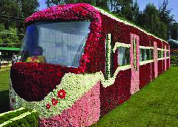 Annual flower show will begin in Ooty on May 15
