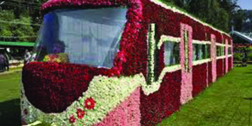 Annual flower show will begin in Ooty on May 15