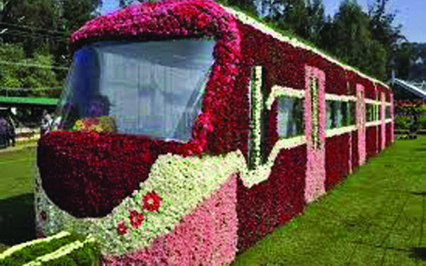 Annual flower show will begin in Ooty on May 15