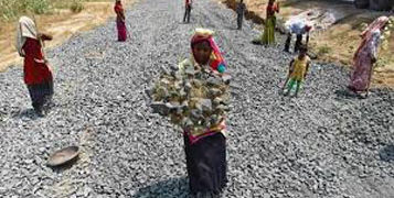 32 lakh fewer person-days of work under MNREGA in 2019: Agri Minister