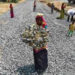 32 lakh fewer person-days of work under MNREGA in 2019: Agri Minister