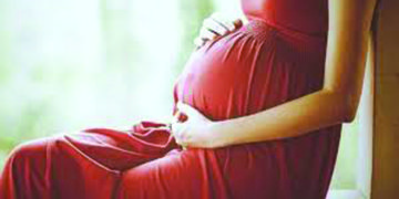 Working woman with twins in first delivery is not entitled to avail maternity benefits for the next child: Madras High Court   