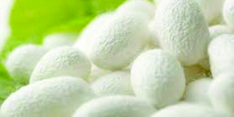 KVIC purchases cocoons from Tamil Nadu farmers