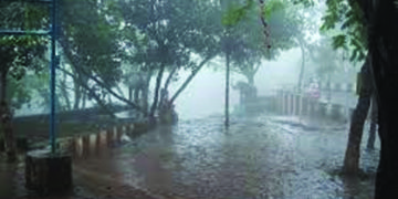 India to receive normal monsoon this season, says IMD; May bring some respite to coronavirus-hit economy