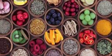 World Health Day: Have nutraceuticals – for good health and overall well-being 