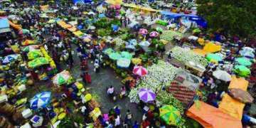 COVID-19: TN record single-day spike of 527; total surge to 3550