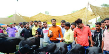 BPNL Recruitment 2020: Recruitment for assistant, officers, other posts begins