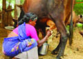 COVID-19 pandemic: NDDB holds webinar to address dairy farmers’ problems