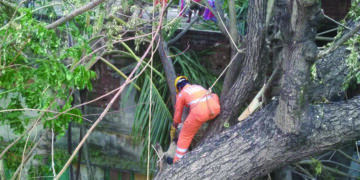 NDRF teams working round the clock to restore normalcy in cyclone-ravaged Bengal, says official