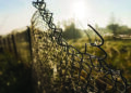 Man dies, as he comes into contact with illegal electric fence in TN