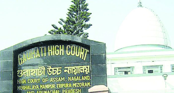 PIL in Guwahati HC over Assam gas well tragedy