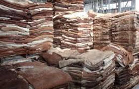 Govt considering proposal to cut export duty on hides, skins of bovine