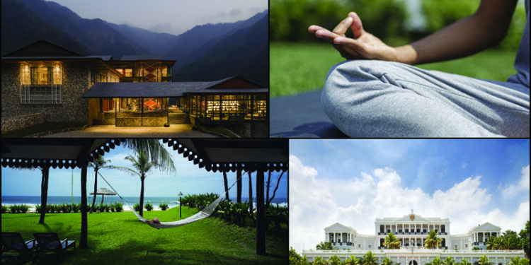 Jiva bring you live yoga series on instagram this International Yoga Day