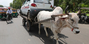 Congress holds nationwide protests against fuel price hike; Gujarat Cong chief, 50 workers detained