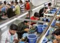 After 6 workers test COVID-19 positive, Bhavnagar diamond unit partially shut