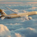 Etihad Airways offers 50 pc cash bonus for travel voucher purchasers