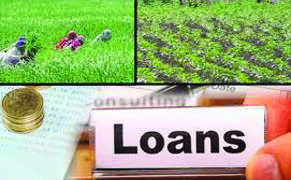 Govt extends crop loan repayment date till August 31 and offers rate concession to prompt re-payers