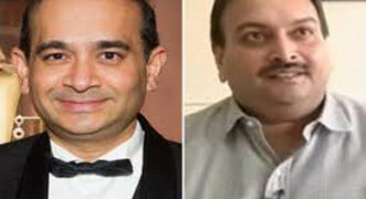 ED brings back rs 1,350 crore worth polished diamonds, pearls of Nirav Modi, Choksi firms from HK